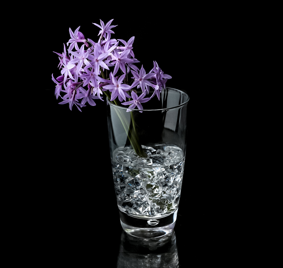 960x908 lilas